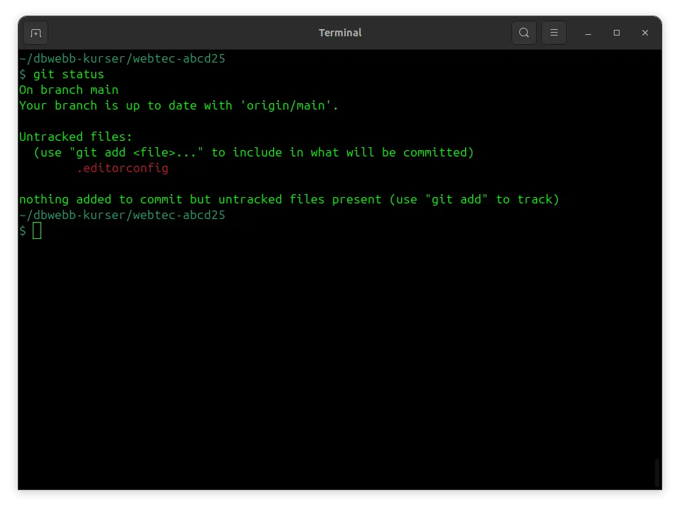 Kontrollera status på ditt repo med git status.