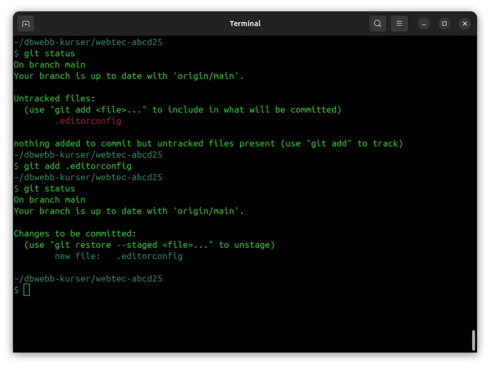Kontrollera status på ditt repo med git status.