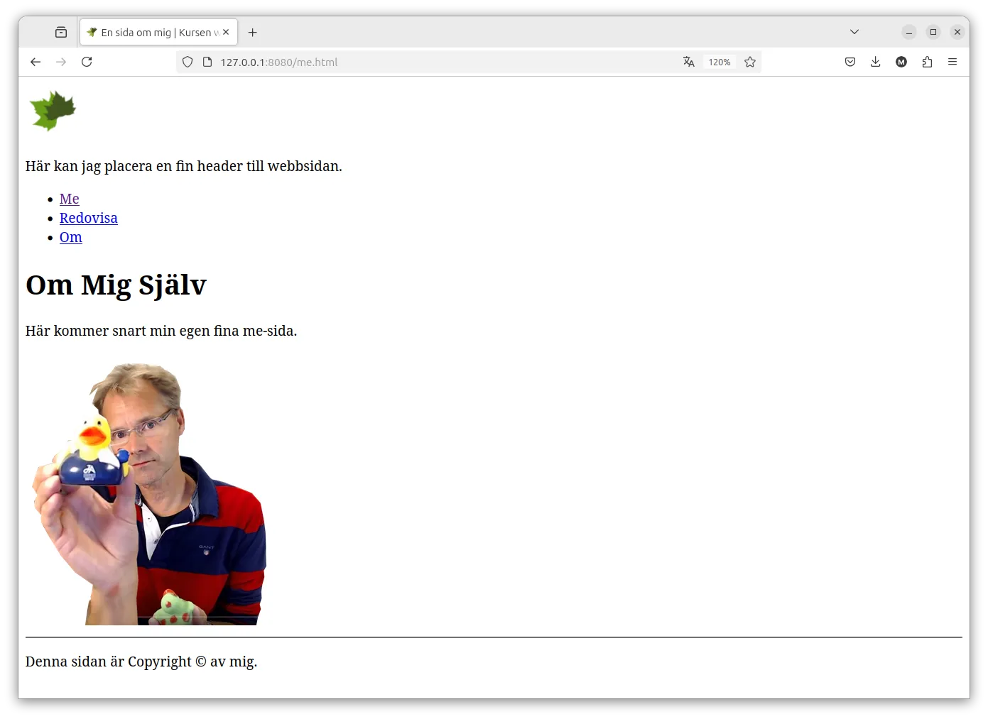 Första ansatsen till en webbsida.
