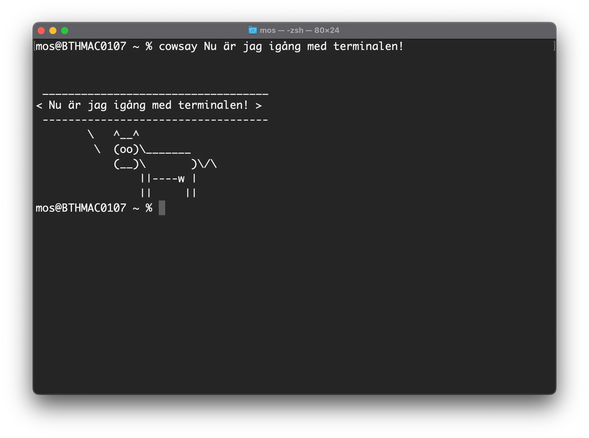 Kommandot cowsay är installerat och kan nu köras som ett program.