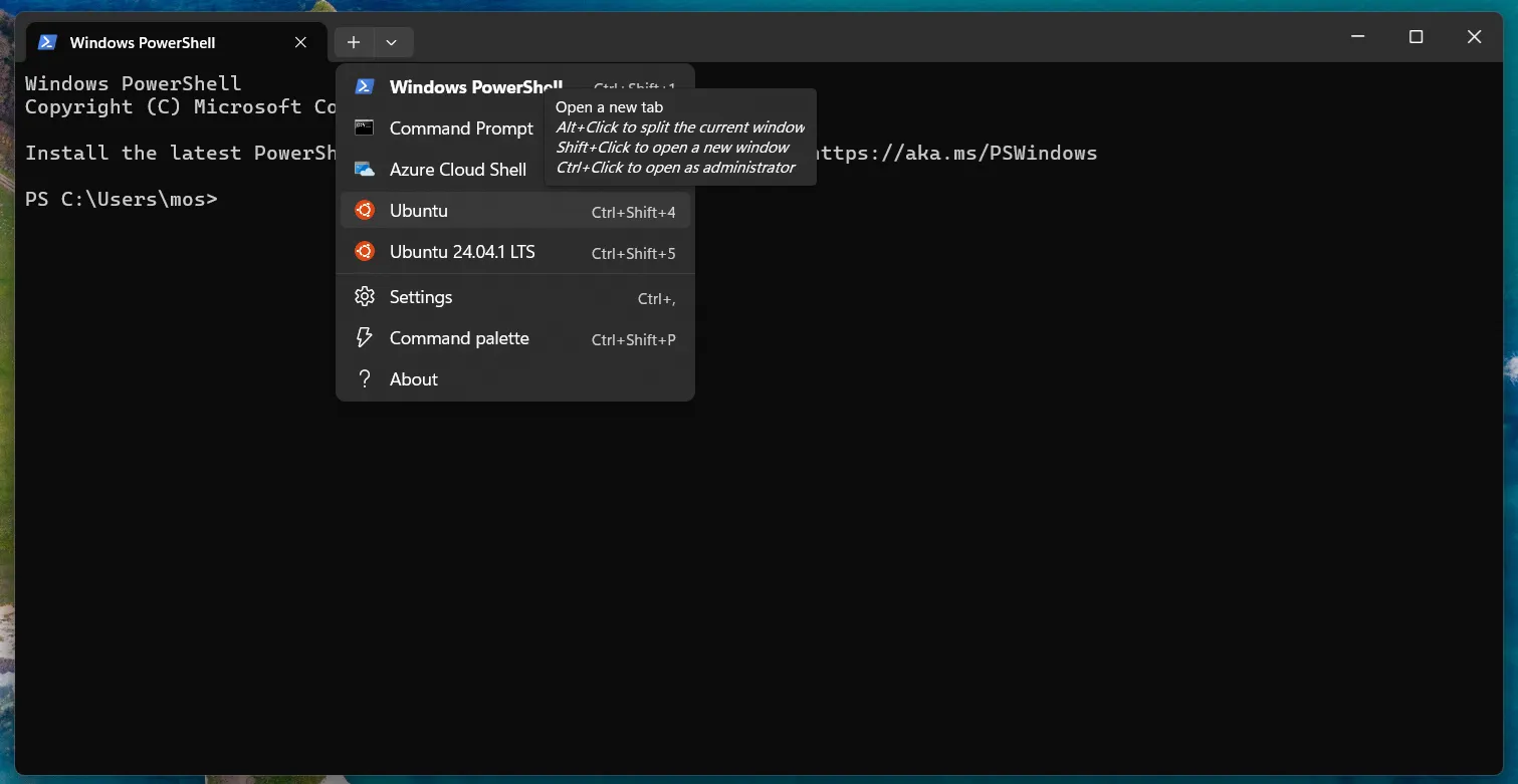 Öppna Ubuntu som en terminal.